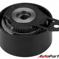 TRİGER GERGİ RULMANI SCENIC