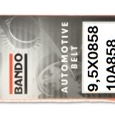 V (ALTERNATÖR) KAYIŞI SLX