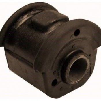 SALINCAK BURCU SAĞ ACCENT 95-00