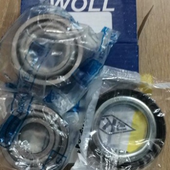 ARKA TEKER RULMANI TAKIM KİT R12 TOROS