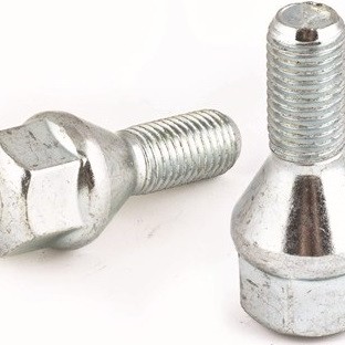 BİJON CİVATASI R9-R11-R19-LAGUNA1-MEGAN1 (KROMAJLI)(19MM)