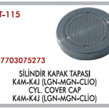 SİLİNDİR EKSANTRİK TAPASI (KEÇESİ)(EN BÜYÜK TİP) CLIO-MEGANE-LAGUNA