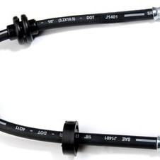 FREN HORTUMU ÖN PALIO-SIENA-ALBEA