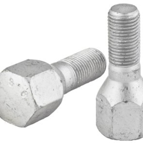 BİJON CIVATASI ALBEA-PALIO-SIENA