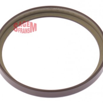 ABS OKUYUCU HALKA ARKA DİSK MEGAN3-FLUENCE