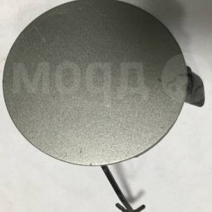 TAMPON ÇEKİ DEMİR KAPAĞI ÖN SOL AURIS 07-12