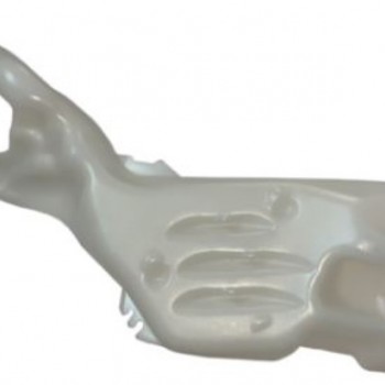 FISKİYE DEPOSU MEGAN4