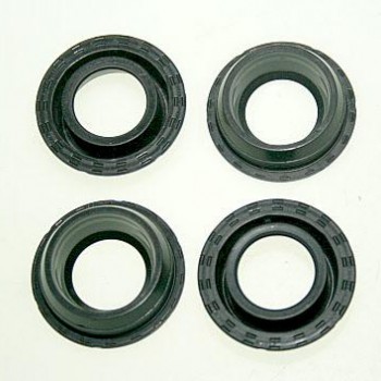 BUJİ KEÇESİ (TAKIM) CLIO 1,2 16V (D4F)