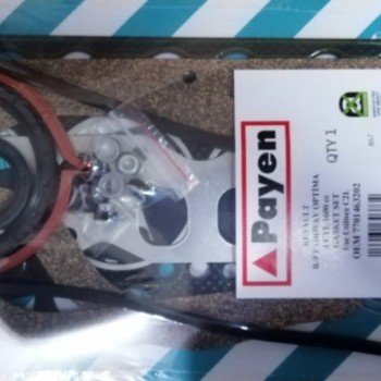 MOTOR TAKIM CONTA (KEÇELİ) R9 FAIRWAY-R19-R21-OPTIMA 1,6