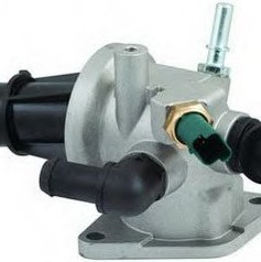 TERMOSTAT (MÜŞÜRLÜ) PALIO-ALBEA-DOBLO 1,3MJ 03-06 EM