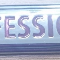 PROFESSIONAL YAZISI ARKA YAZI DUCATO-DOBLO (KROM)