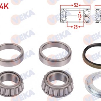 ARKA TEKER RULMANI TAKIM KİT R12 TOROS