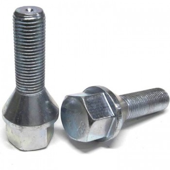 BİJON CİVATASI LINEA-FIORINO-EGEA-DBY DOBLO3 (17MM)(1,25DİŞ)(METALİK)