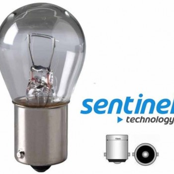 93 AMPÜL 12V-21W TEK DUY (SİNYAL-STOP İÇİN)