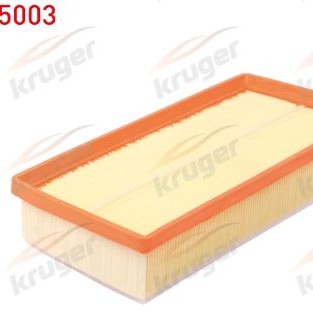 HAVA FİLTRESİ POSETLI CITROEN C5 III (RD) 2.0 HDI 2008-2015